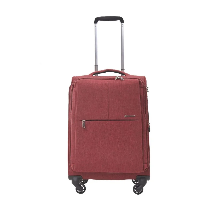 Suitcase for overnight trips-Echolac Gemini 20" Carry-on Upright Luggage